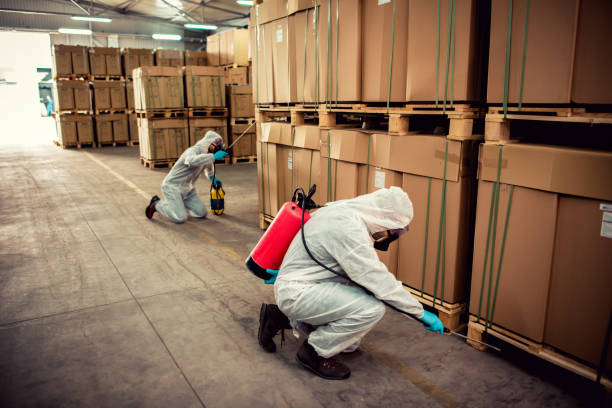 Best Emergency Pest Control  in Hammond, WI