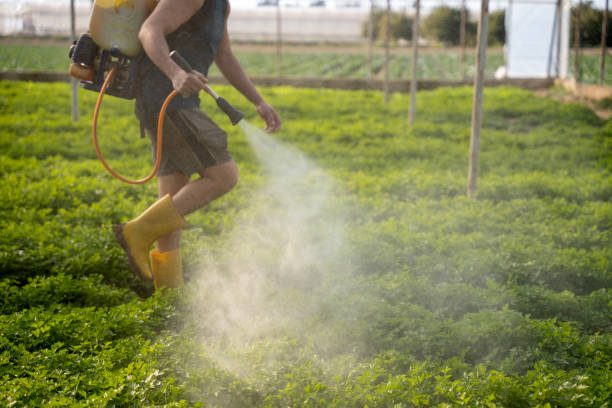 Best Affordable Pest Control Services  in Hammond, WI