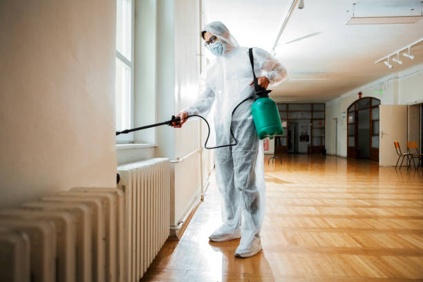 Trusted Hammond, WI Pest Control Experts